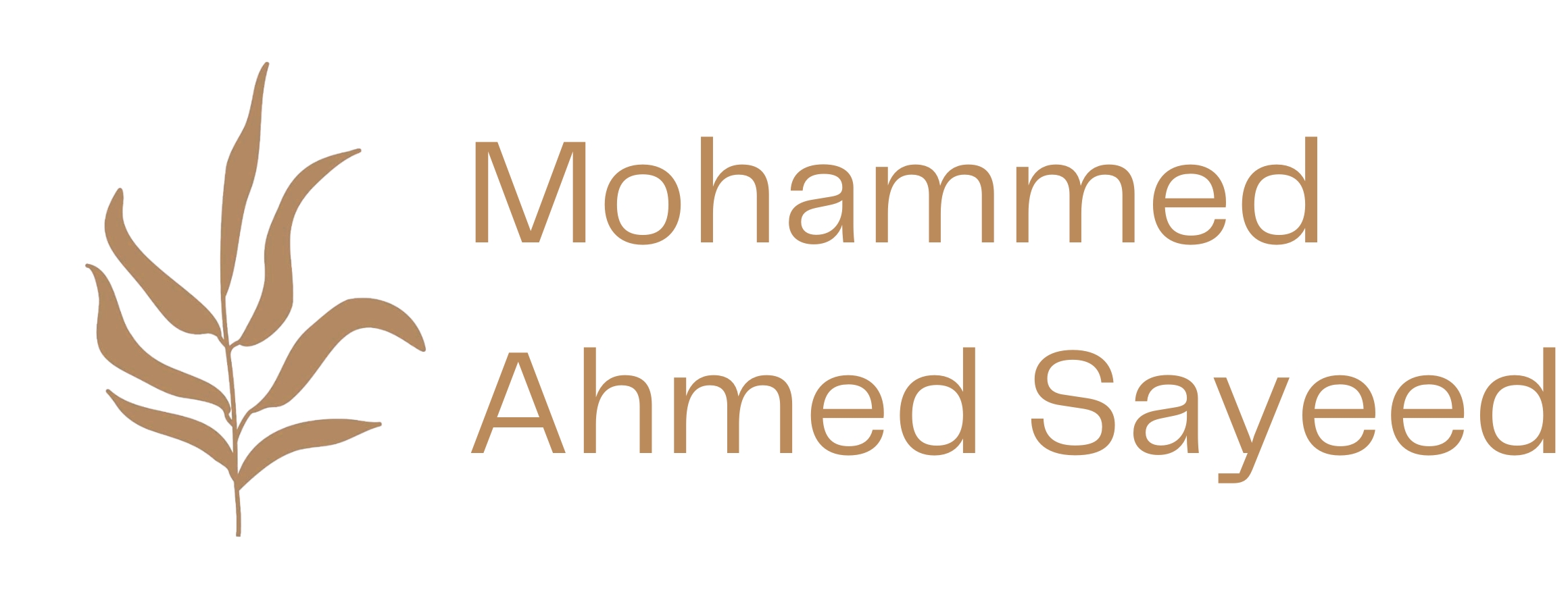 mohdahmedsayeed.org